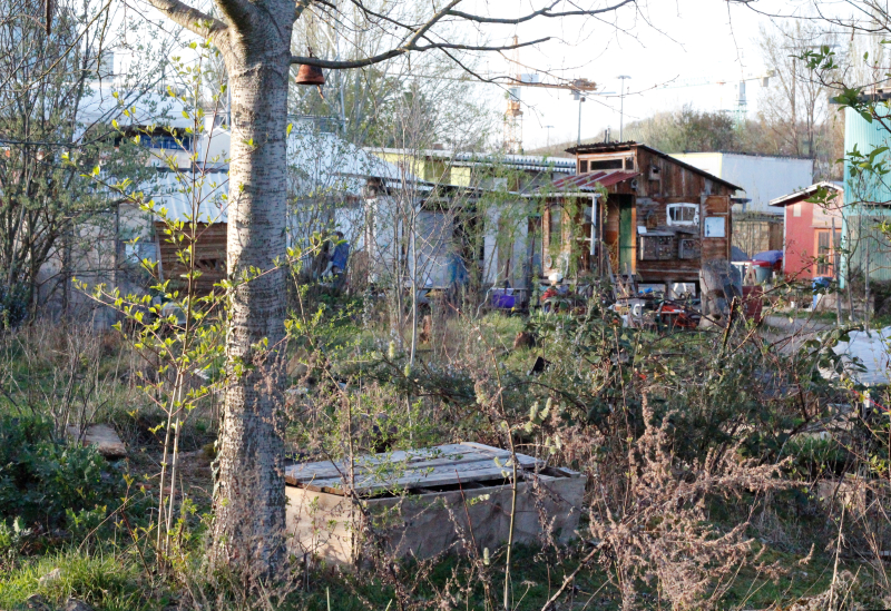 Ansicht des Stadtacker Wagenhallen mit einem Baum und einer selbstgebauten Bank im Vordergrund zwischen verschiedenen Sträuchern und Gräsern. Dahinter eine selbst gebaute Hütte mit Insektenhotels und andere improvisierte Gebäude. Ganz im Hintergrund sieht man Bürogebäude und einen Kran einer Baustelle.