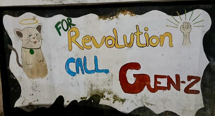 Auf eine Fläche gemalt und u. a. mit einer Faust illustriert: "For Revolution Call Gen-Z"